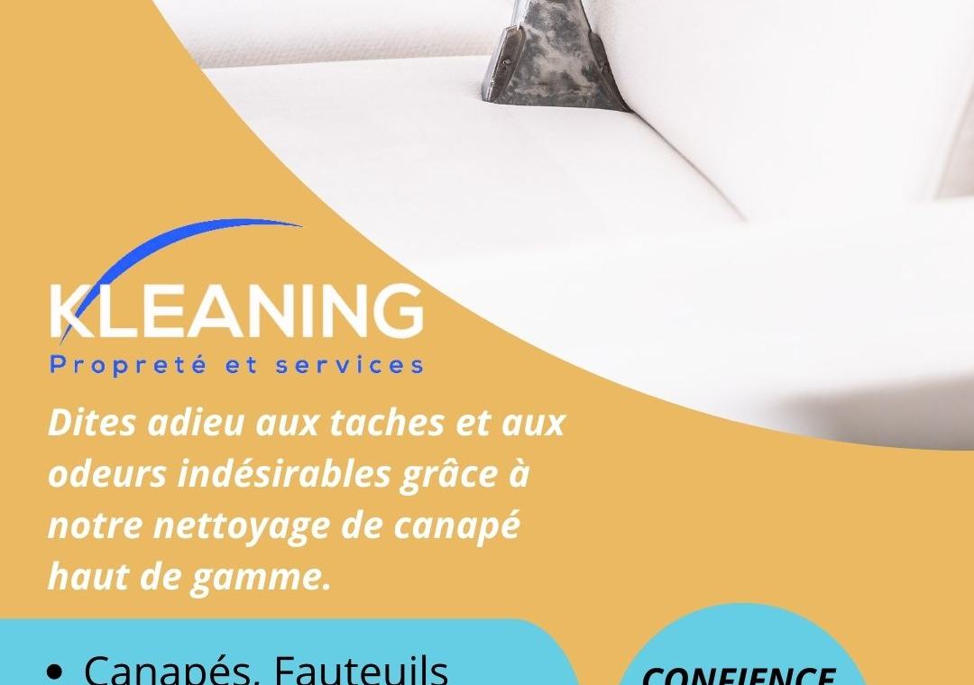 nettoyage de canapé avec un injecteur extracteur karcher